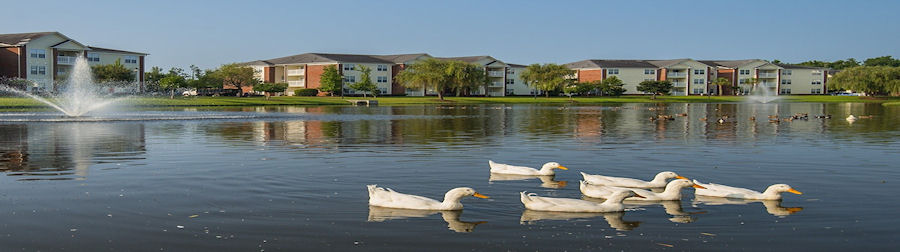 copy33_seasidesidegrove900x252
